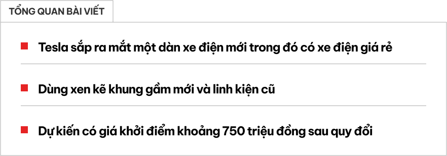 Tesla xác nhận sẽ làm xe giá rẻ đấu xe điện Trung Quốc- Ảnh 1.