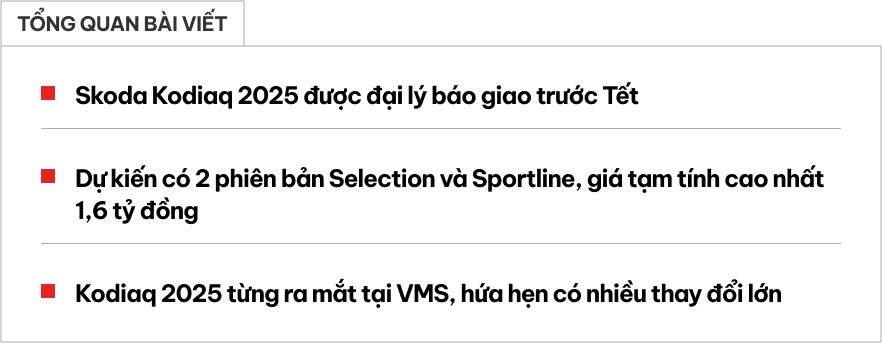 Đại lý báo Skoda Kodiaq 2025 giá tạm tính 1,6 tỷ, giao trước Tết: Có bản thể thao, thêm công nghệ cạnh tranh Santa Fe- Ảnh 1.