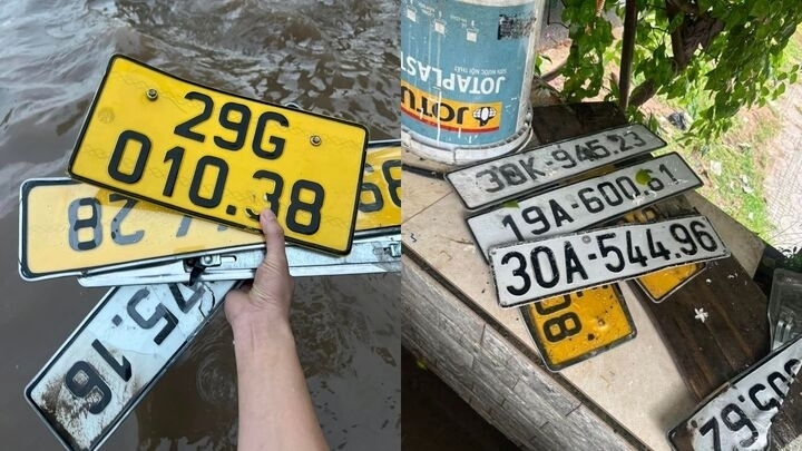 Thủ tục cấp lại biển số xe bị rơi, hỏng- Ảnh 1.