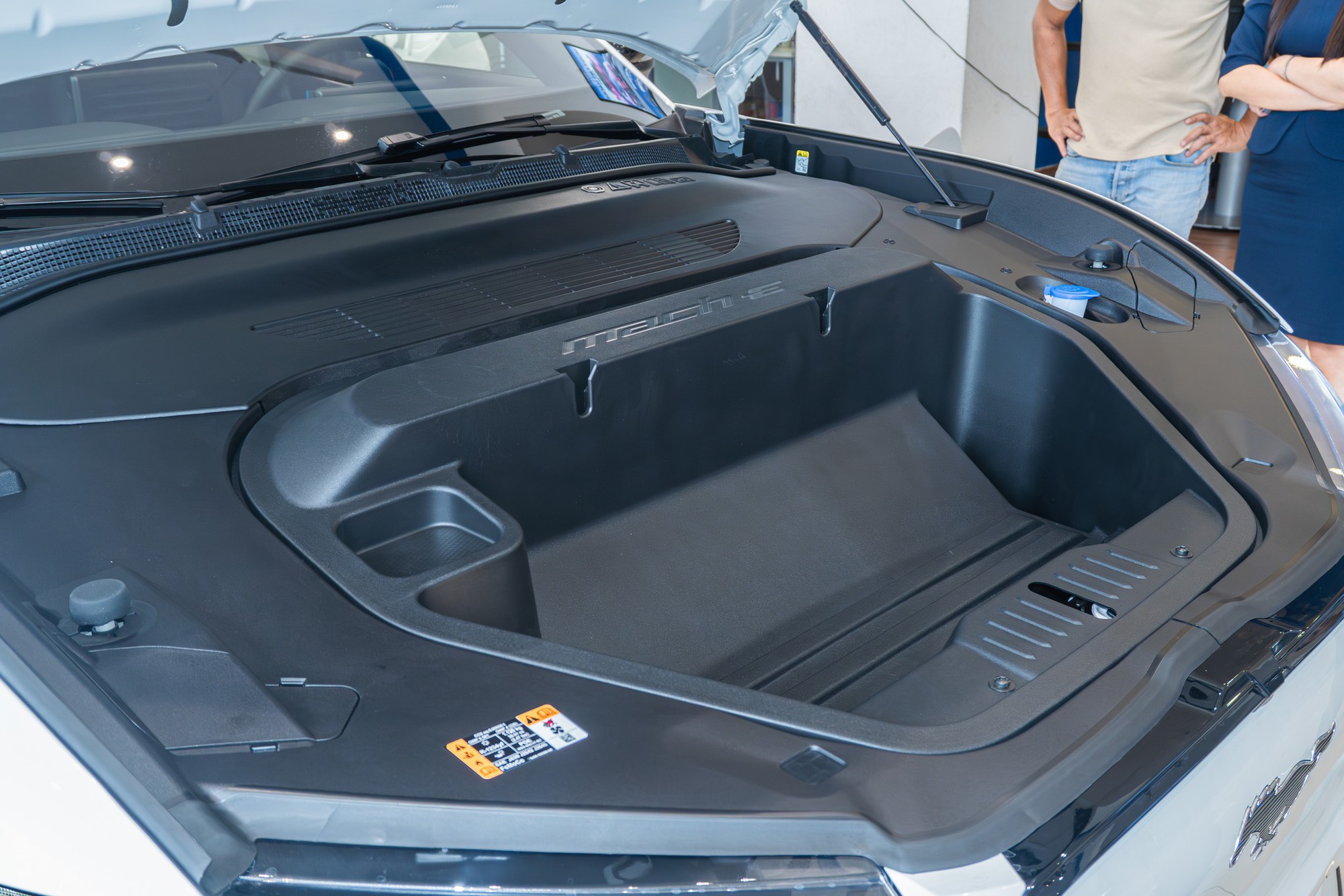 Ford Mustang Mach-E bất ngờ bán chạy hơn cả 'dân chơi' Honda Civic Type R: 'Ngựa hoang điện' đã tìm được chuồng ở Việt Nam?- Ảnh 13. Ford Mustang Mach-E bất ngờ bán chạy hơn cả 'dân chơi' Honda Civic Type R: 'Ngựa hoang điện' đã tìm được chuồng ở Việt Nam?- Ảnh 13.