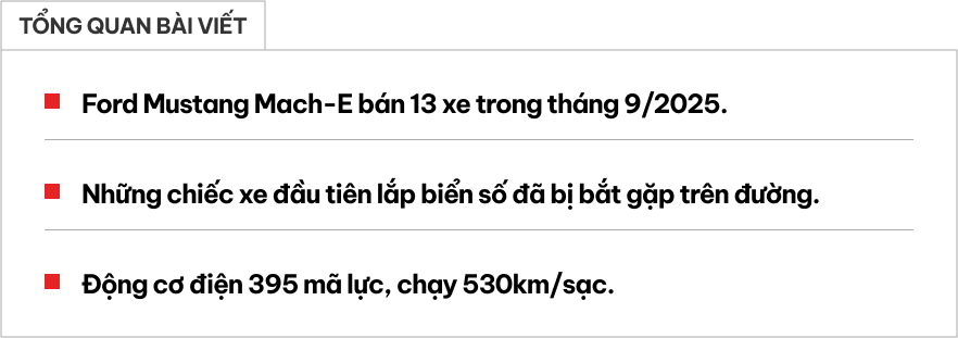 Ford Mustang Mach-E bất ngờ bán chạy hơn cả 'dân chơi' Honda Civic Type R: 'Ngựa hoang điện' đã tìm được chuồng ở Việt Nam?- Ảnh 1. Ford Mustang Mach-E bất ngờ bán chạy hơn cả 'dân chơi' Honda Civic Type R: 'Ngựa hoang điện' đã tìm được chuồng ở Việt Nam?- Ảnh 1.