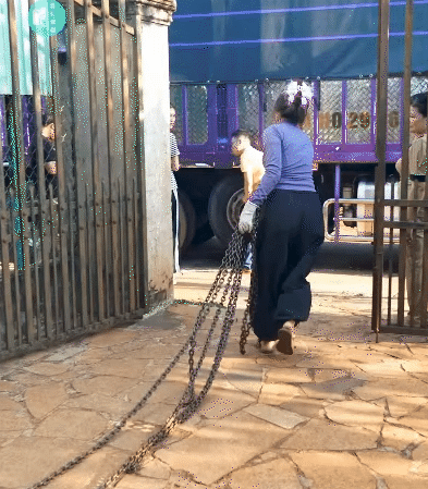 Những bóng hồng sau vô lăng: Không chỉ là công việc, mà còn để học cách kiên nhẫn, bình tĩnh và mạnh mẽ hơn!- Ảnh 9. Những bóng hồng sau vô lăng: Không chỉ là công việc, mà còn để học cách kiên nhẫn, bình tĩnh và mạnh mẽ hơn!- Ảnh 9.