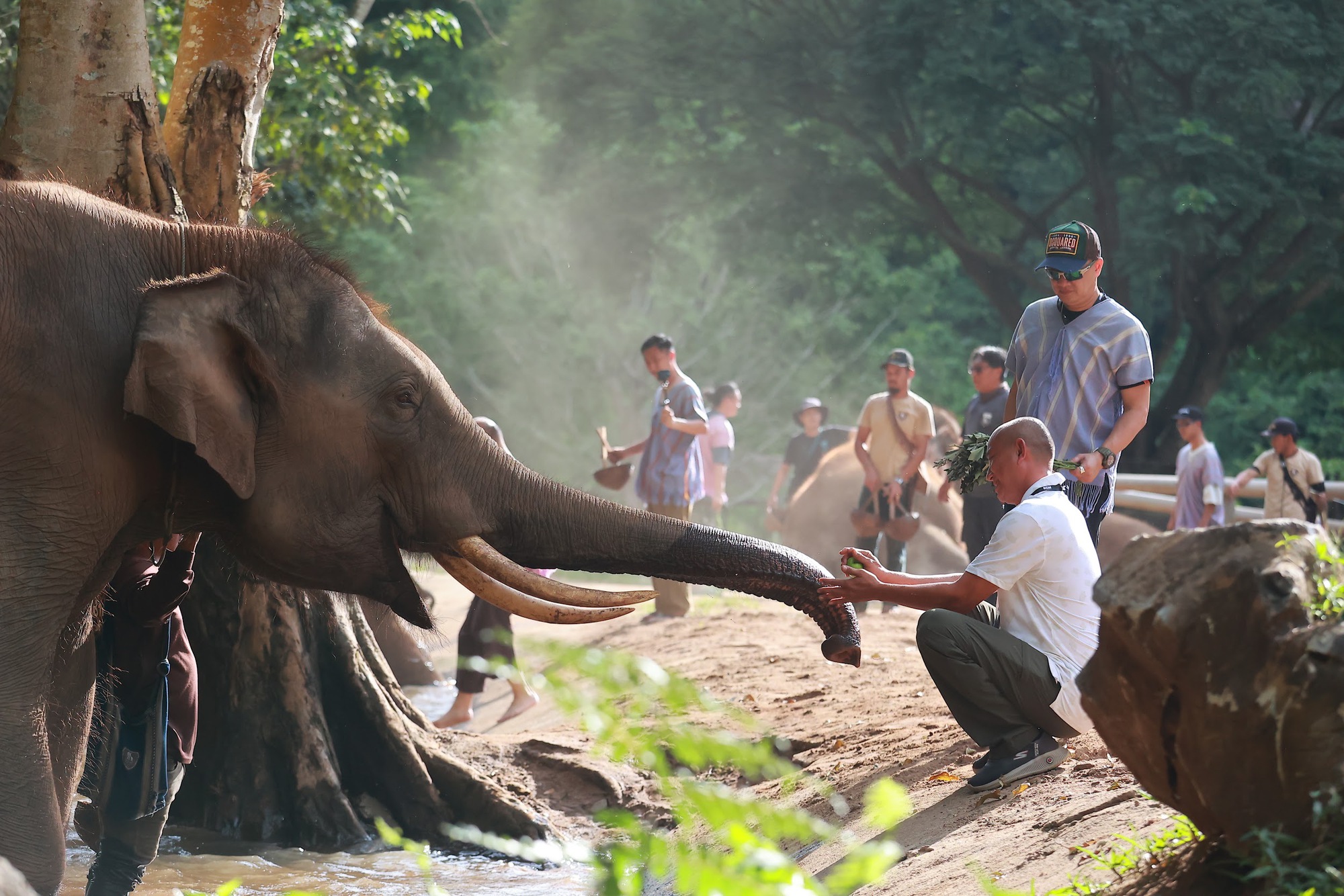 BFGoodrich KO3: Bản lĩnh vượt 4.000 khúc cua gắt, sinh tồn ngoài vùng phủ sóng- Ảnh 5. BFGoodrich KO3: Bản lĩnh vượt 4.000 khúc cua gắt, sinh tồn ngoài vùng phủ sóng- Ảnh 5.