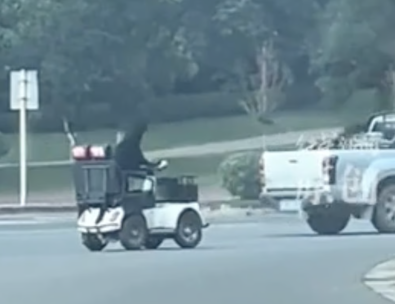 Trung Quốc: Chú chó “biết lái xe”, trượt ván, đổ rác gây sốt MXH, cảnh sát phải can thiệp vì lý do an toàn- Ảnh 1.