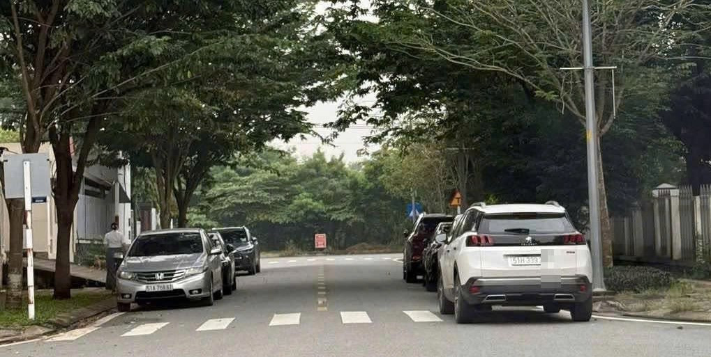 Bị dân chụp ảnh gửi Cục CSGT, nữ tài xế đỗ xe sai quy định lĩnh phạt nóng- Ảnh 1.