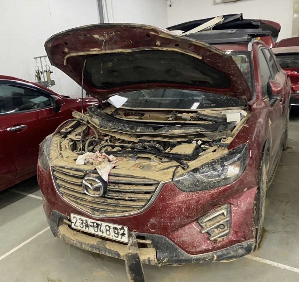 Bảo hiểm chi trả hàng trăm tỉ đồng tiền bồi thường thiệt hại do bão, lũ- Ảnh 1.