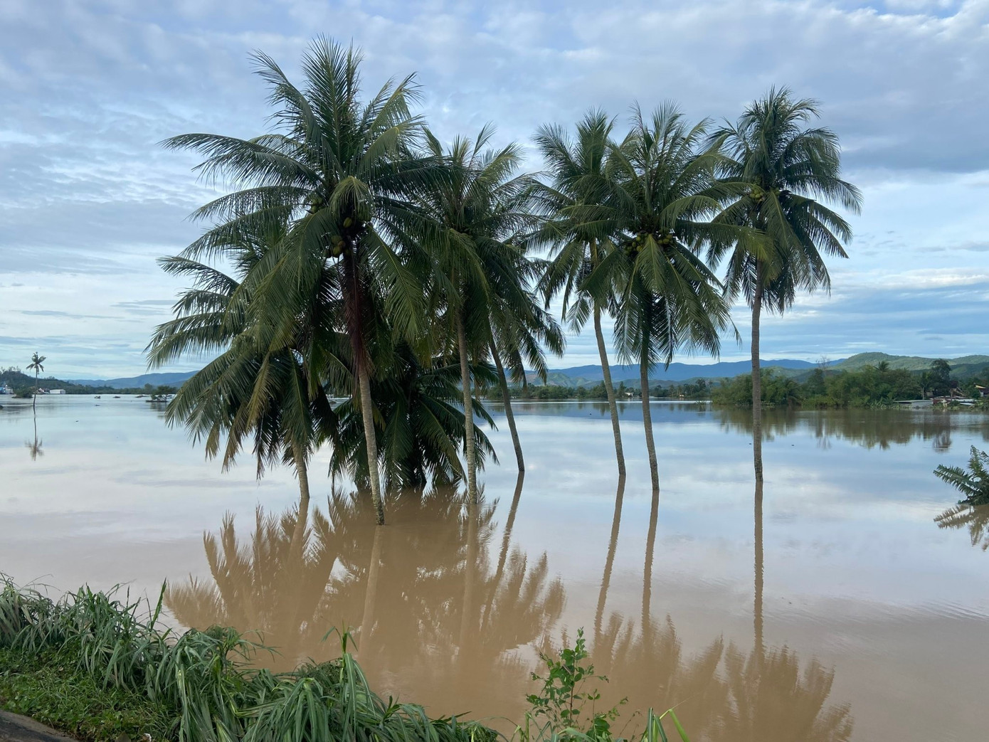 Ô tô bị cuốn trôi, hai người bám vào bụi tre kẹt giữa dòng lũ- Ảnh 3.