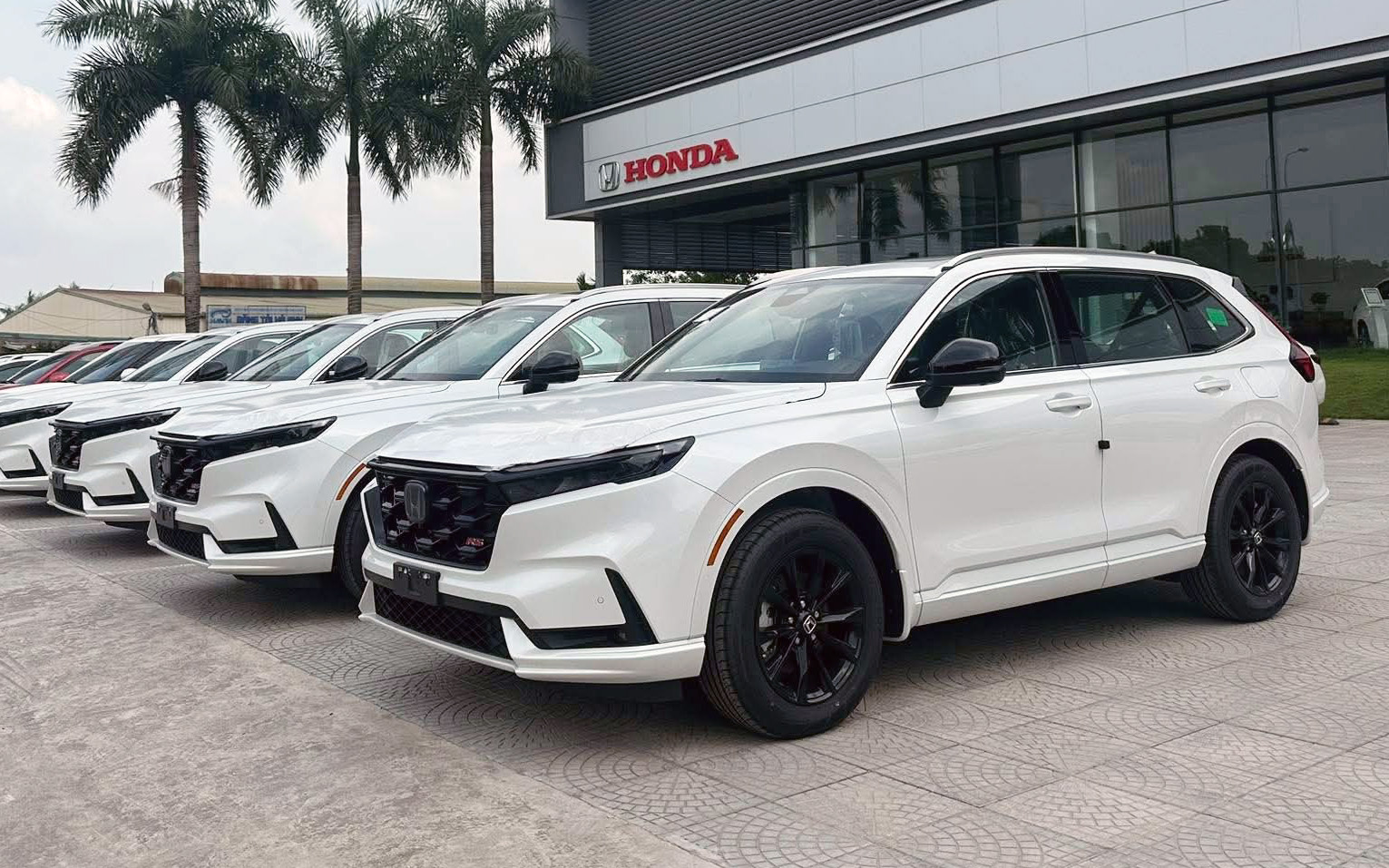 Loạt xe hybrid phổ th&ocirc;ng giảm gi&aacute; trước thềm giảm thuế từ th&aacute;ng sau tại Việt Nam: C&oacute; 'vua doanh số' ph&acirc;n kh&uacute;c giảm lăn b&aacute;nh hơn 150 triệu đồng- Ảnh 3.