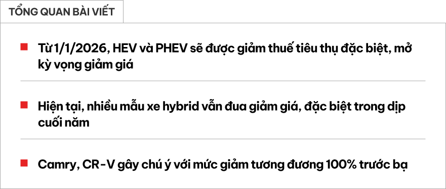 Loạt xe hybrid phổ th&ocirc;ng giảm gi&aacute; trước thềm giảm thuế từ th&aacute;ng sau tại Việt Nam: C&oacute; 'vua doanh số' ph&acirc;n kh&uacute;c giảm lăn b&aacute;nh hơn 150 triệu đồng- Ảnh 1.