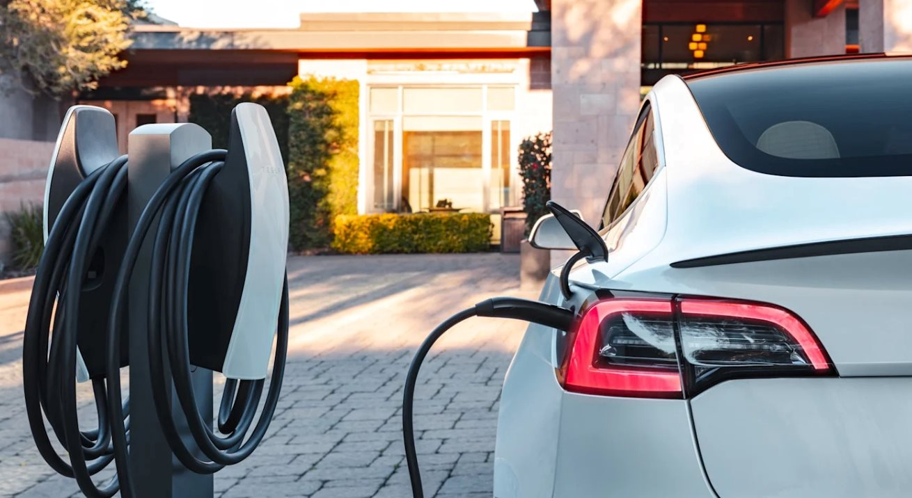 Ng&atilde; ngửa với h&oacute;a đơn 10 năm 'nu&ocirc;i' &ocirc; t&ocirc;- Ảnh 1.