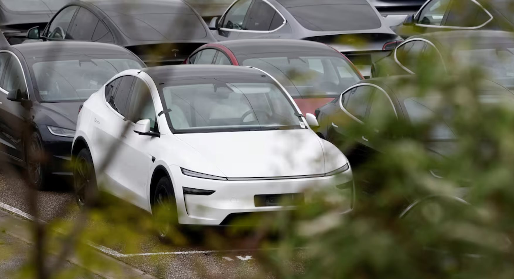 Ng&atilde; ngửa với h&oacute;a đơn 10 năm 'nu&ocirc;i' &ocirc; t&ocirc;- Ảnh 2.