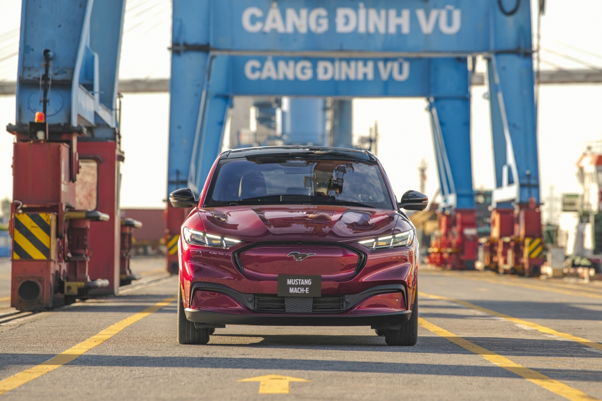 Triệu hồi Ford Mustang Mach-E tại Việt Nam để cập nhật phần mềm- Ảnh 1.