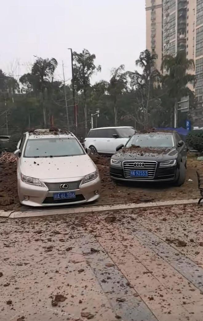 Vụ bé trai ném pháo làm nổ loạt xe sang Lincoln, Lexus, Porsche: Gia đình có phải “tán gia bại sản” để bồi thường?- Ảnh 2. Vụ bé trai ném pháo làm nổ loạt xe sang Lincoln, Lexus, Porsche: Gia đình có phải “tán gia bại sản” để bồi thường?- Ảnh 2.