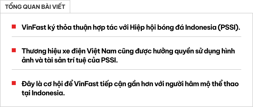 VinFast tài trợ đội tuyển bóng đá Indonesia: Đặt mục tiêu tham dự World Cup 2026- Ảnh 1.