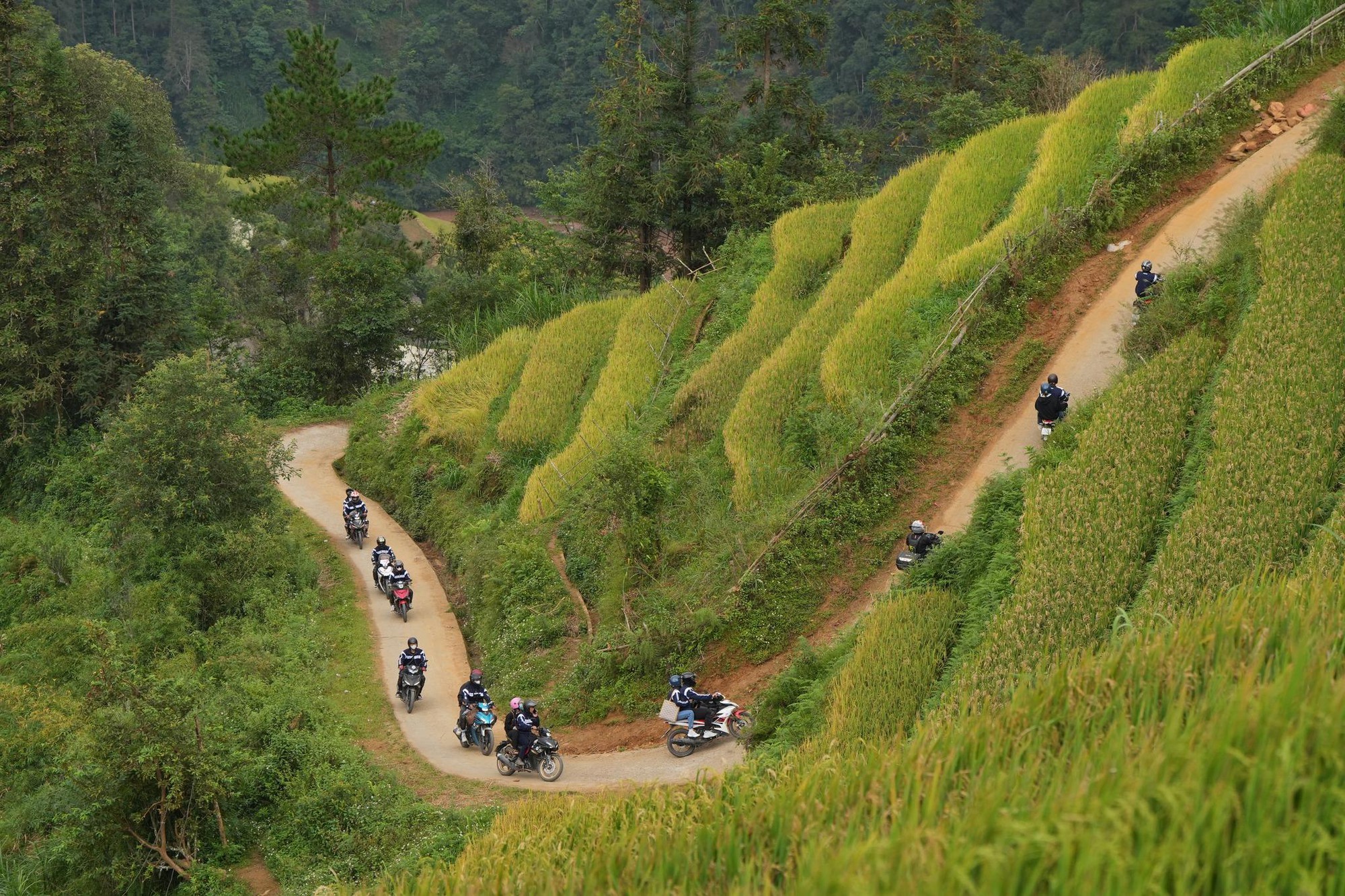 Những 'chiêu' cần có để chơi xe côn tay đúng chuẩn- Ảnh 2. Những 'chiêu' cần có để chơi xe côn tay đúng chuẩn- Ảnh 2.