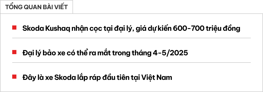 Skoda Kushaq nhận cọc tại đại lý: Giá dự kiến khoảng 600 triệu ngang Xforce, lắp ráp, có thể ra mắt sớm tháng sau- Ảnh 1.