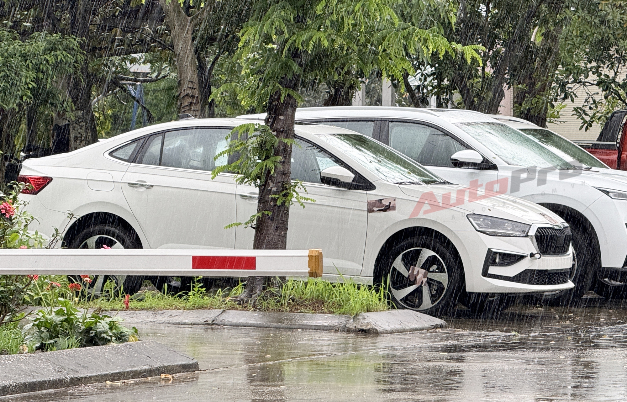 Lộ nội thất 2 bản Skoda Slavia tại Việt Nam: Bản cao có màn lớn, bản thấp toàn 'chỉnh cơm', có số sàn, giá có thể dưới 500 triệu đồng- Ảnh 9.