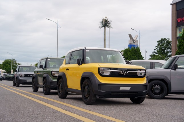 Nhu cầu xe điện hóa của người Việt tăng mạnh- Ảnh 1. Nhu cầu xe điện hóa của người Việt tăng mạnh- Ảnh 1.