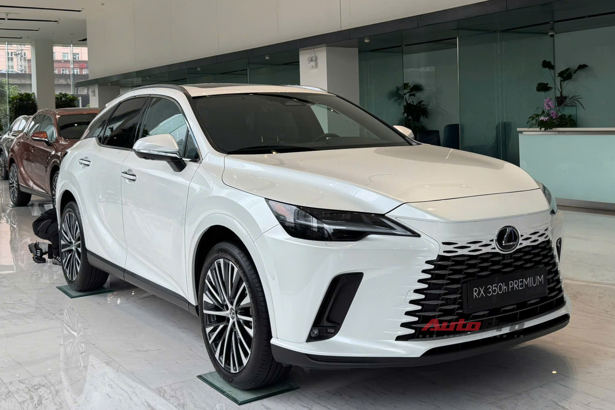 Lexus RX 350h về đại lý: Giá từ 3,5 tỷ đồng, động cơ hybrid mạnh 247 mã lực, thêm camera 360- Ảnh 9. Lexus RX 350h về đại lý: Giá từ 3,5 tỷ đồng, động cơ hybrid mạnh 247 mã lực, thêm camera 360- Ảnh 9.