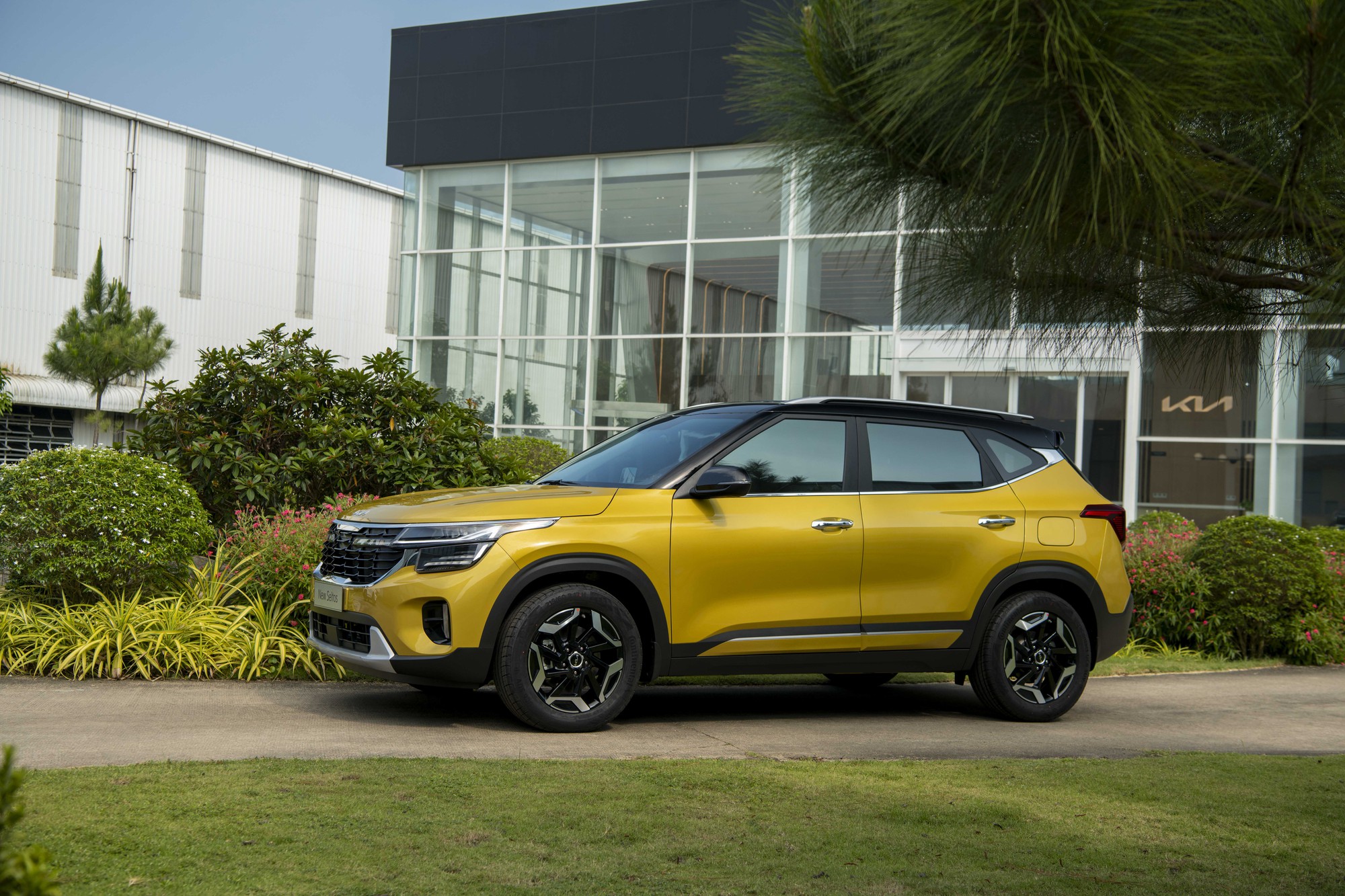 Kia Seltos mới ưu đãi đặc biệt 55 triệu, giá chỉ từ 569 triệu đồng- Ảnh 5.