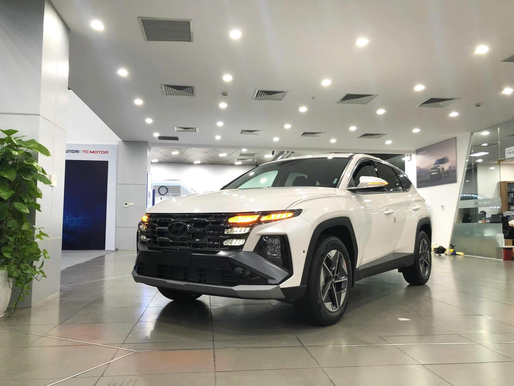 Doanh số Hyundai tháng 6/2025: Mỗi ngày giao 97 chiếc, Tucson lần đầu về nhất, 9/10 mẫu bán ít hơn tháng trước- Ảnh 3. Doanh số Hyundai tháng 6/2025: Mỗi ngày giao 97 chiếc, Tucson lần đầu về nhất, 9/10 mẫu bán ít hơn tháng trước- Ảnh 3.