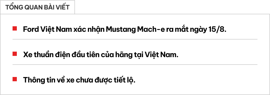 Ford Mustang Mach-E bất ngờ chốt lịch ra mắt Việt Nam ngày 15/8: SUV thuần điện mạnh 480 mã lực, chạy Hà Nội - Hạ Long khứ hồi không cần sạc- Ảnh 1.