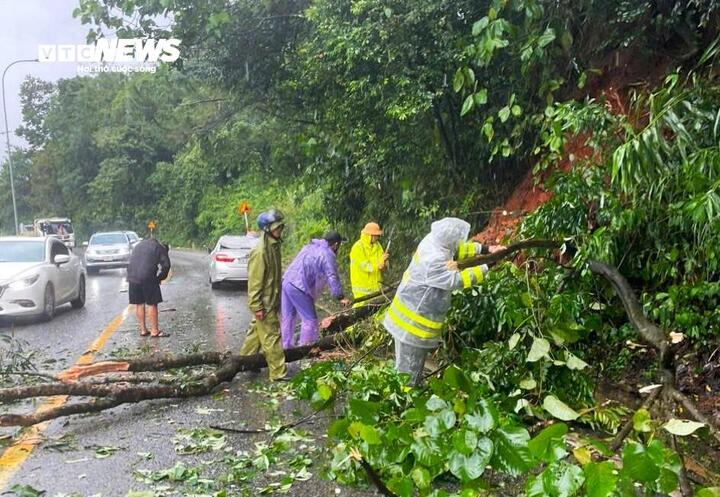 Dông lốc khiến cây rừng ngã đè ô tô đi đường, đèo Bảo Lộc ách tắc cục bộ- Ảnh 2. Dông lốc khiến cây rừng ngã đè ô tô đi đường, đèo Bảo Lộc ách tắc cục bộ- Ảnh 2.