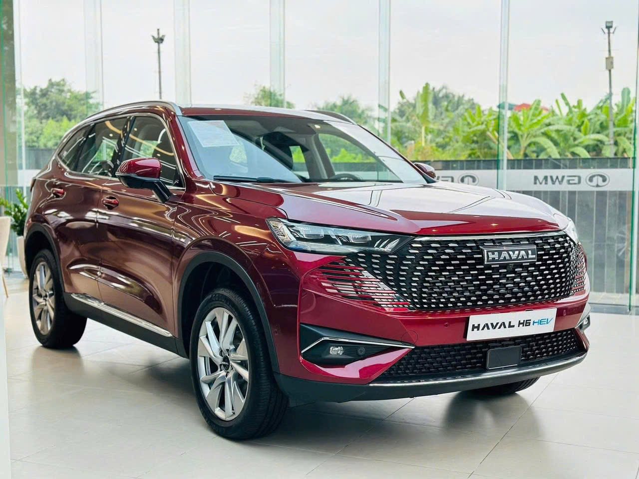 Vì 3 lý do này, một chủ salon ô tô từ chối kinh doanh xe Trung Quốc đã qua sử dụng- Ảnh 2.