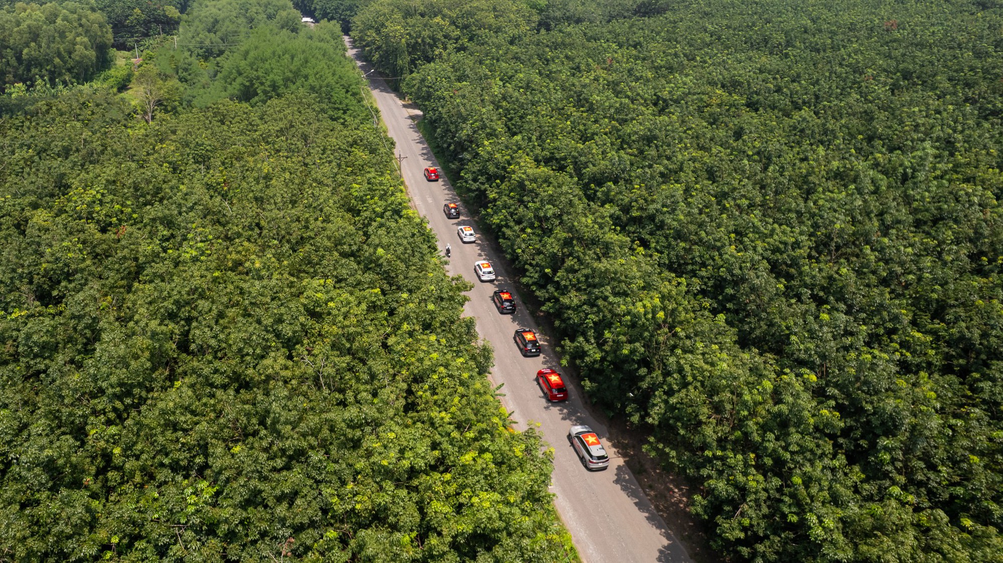 Đoàn xe Skoda vượt 400km tới Buôn Ma Thuột: Băng rừng, xuyên mưa trắng trời mới thấy rõ khung gầm quan trọng thế nào- Ảnh 6.