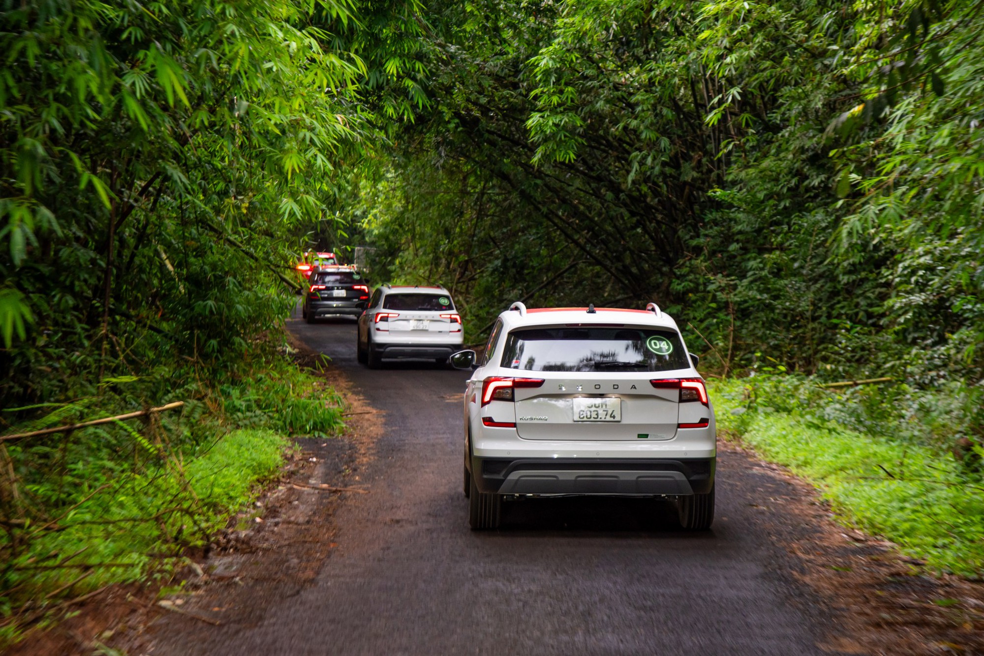 Đoàn xe Skoda vượt 400km tới Buôn Ma Thuột: Băng rừng, xuyên mưa trắng trời mới thấy rõ khung gầm quan trọng thế nào- Ảnh 8.