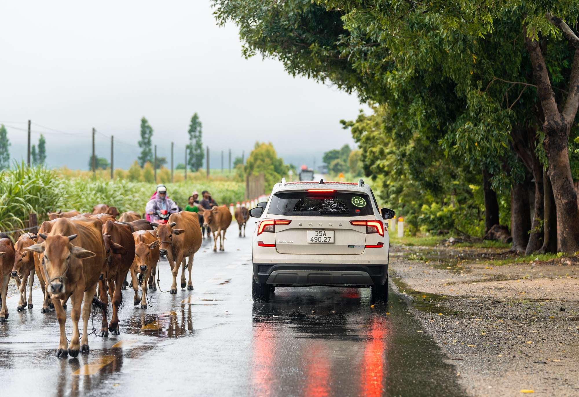 Chia tay Tây Nguyên đại ngàn, đoàn xe Skoda xuôi về miền biển: Hơn 300km với nhiều cung bậc và phần thưởng chỉ dành cho người xứng đáng- Ảnh 29.