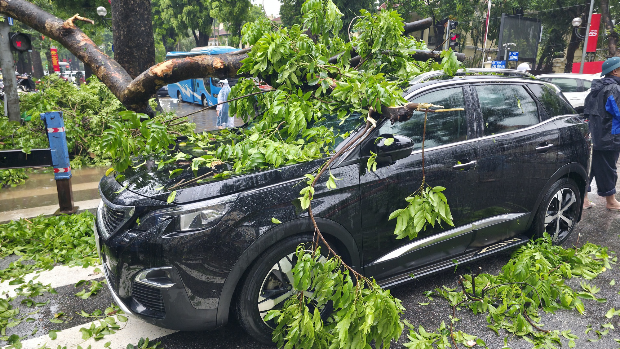 Chủ xe kể 30 giây kinh hoàng khi cây lớn bật gốc đè trúng ô tô giữa phố tại Hà Nội- Ảnh 3. Chủ xe kể 30 giây kinh hoàng khi cây lớn bật gốc đè trúng ô tô giữa phố tại Hà Nội- Ảnh 3.