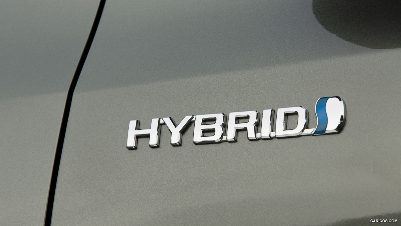 Xu hướng phổ cập xe hybrid tại Việt Nam- Ảnh 1.