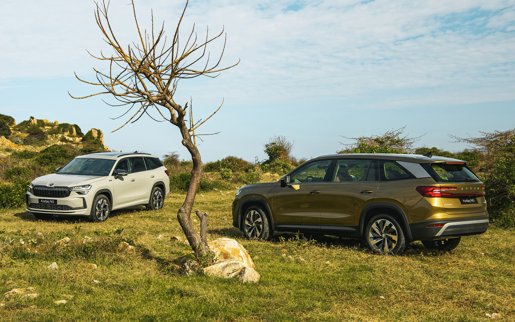 Skoda Kodiaq có giá mới tại Việt Nam: Cao nhất gần 1,5 tỷ đồng, bản 'base' vẫn giảm 81 triệu lăn bánh cạnh tranh Santa Fe, Everest- Ảnh 4.