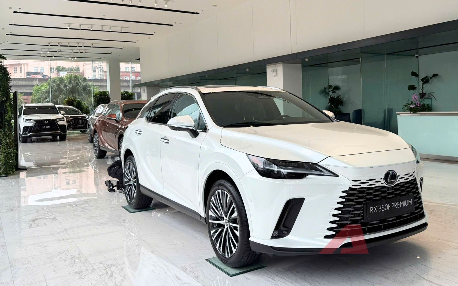 Mỗi ng&agrave;y người Việt chốt 6 chiếc Lexus trong năm qua, đẩy doanh số h&atilde;ng tại Việt Nam lần đầu vượt mốc 15.000- Ảnh 2.