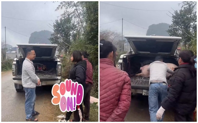 Con lợn lao ra khỏi xe b&aacute;n tải, người phụ nữ chạy đuổi theo t&agrave;i xế: C&aacute;i kết sau 2 tiếng- Ảnh 1.