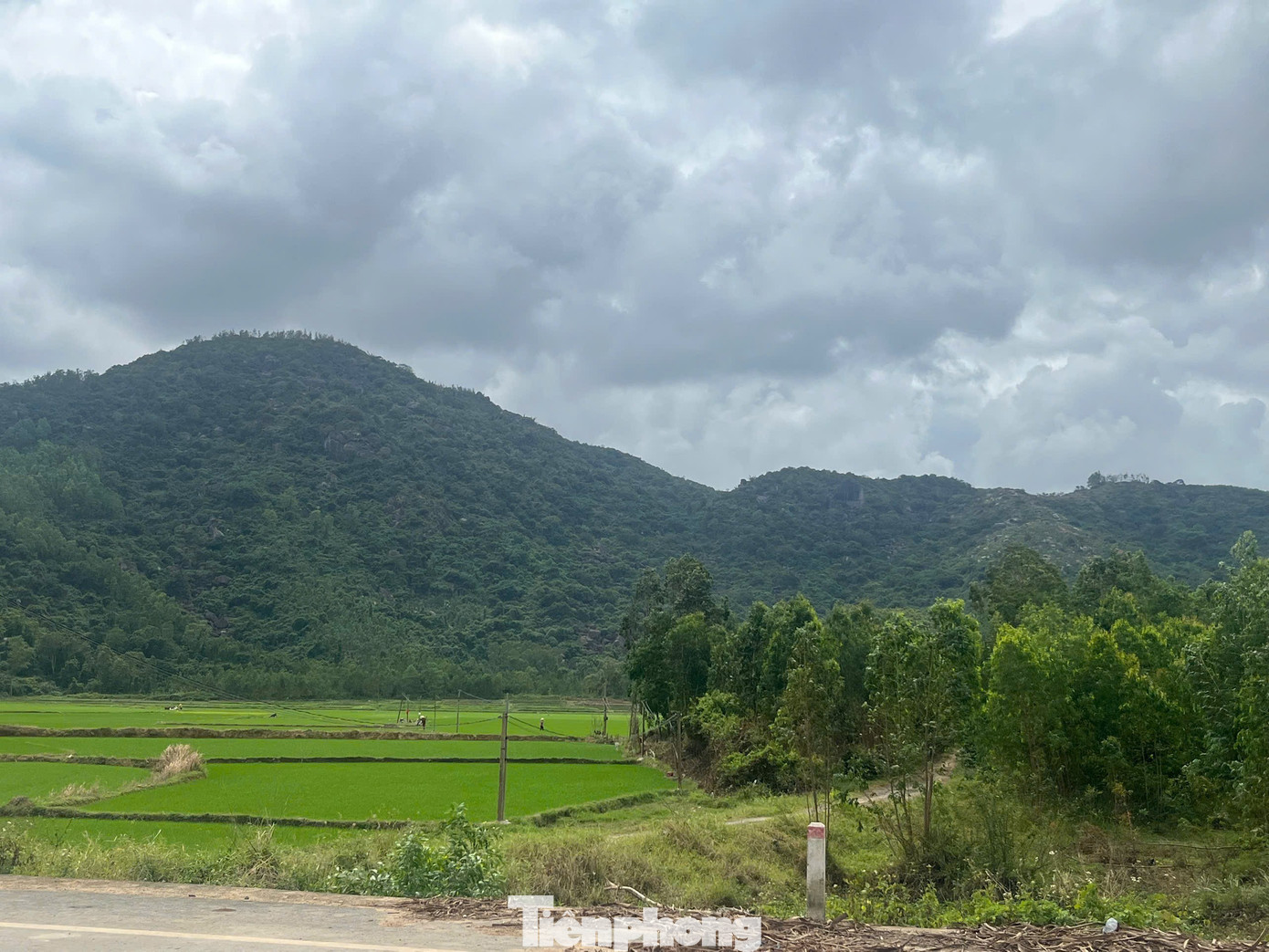 Hiện trường m&aacute;y bay qu&acirc;n sự YAK-130 rơi ở v&ugrave;ng n&uacute;i Đắk Lắk- Ảnh 1.