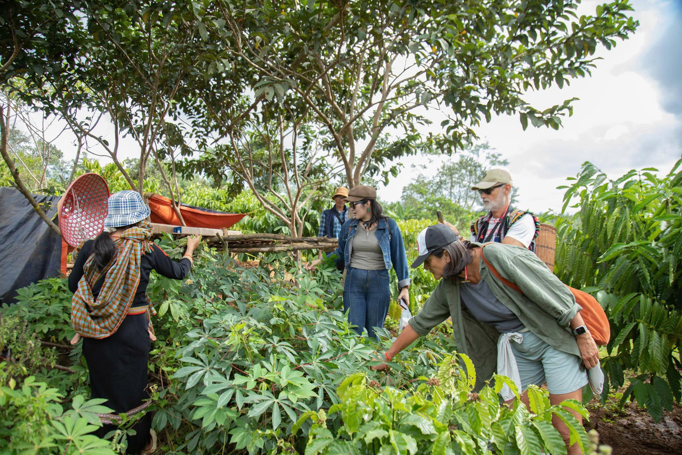 Kh&aacute;ch T&acirc;y m&ecirc; t&iacute;t trải nghiệm l&ecirc;n rẫy bằng xe c&ocirc;ng n&ocirc;ng 'Lamborghini &Ecirc; Đ&ecirc;'- Ảnh 9.