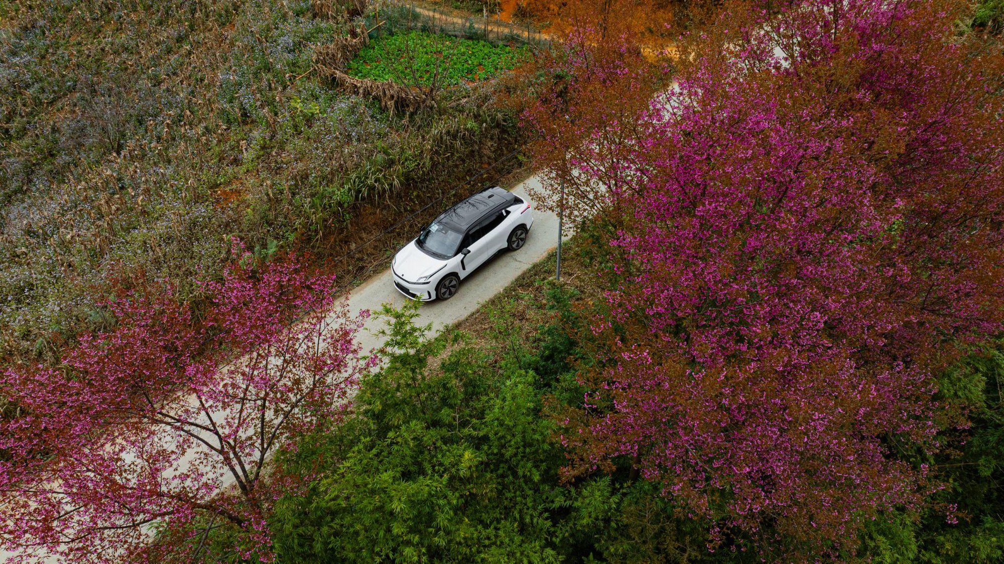 Lynk & Co 08 EM-P chiến thắng danh hiệu “Ô tô của Năm 2025 - Xe gầm cao cỡ D”- Ảnh 4. Lynk & Co 08 EM-P chiến thắng danh hiệu “Ô tô của Năm 2025 - Xe gầm cao cỡ D”- Ảnh 4.