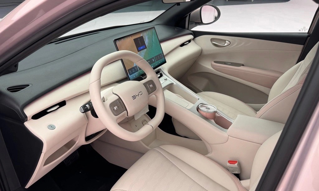 Video: BYD cho nổ lốp ở 140km/h để chứng minh độ an to&agrave;n của mẫu xe gi&aacute; quy đổi chỉ hơn 250 triệu đồng - Ảnh 9.