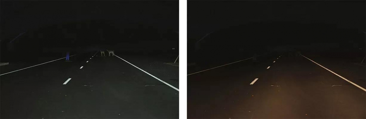 Tranh c&atilde;i v&igrave; đ&egrave;n pha &ocirc; t&ocirc; qu&aacute; s&aacute;ng- Ảnh 2.