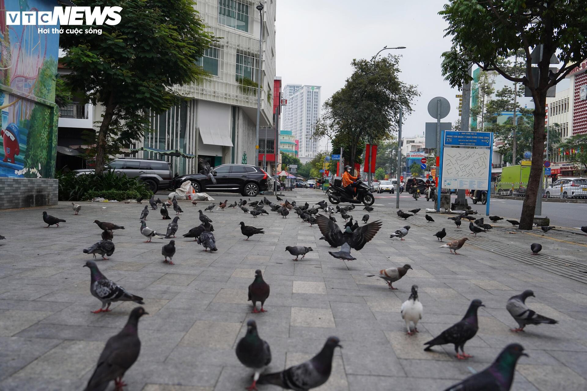 Xe đạp c&ocirc;ng cộng TP.HCM ế ẩm, du kh&aacute;ch ngại d&ugrave;ng v&igrave; l&yacute; do kh&oacute; tin- Ảnh 14.