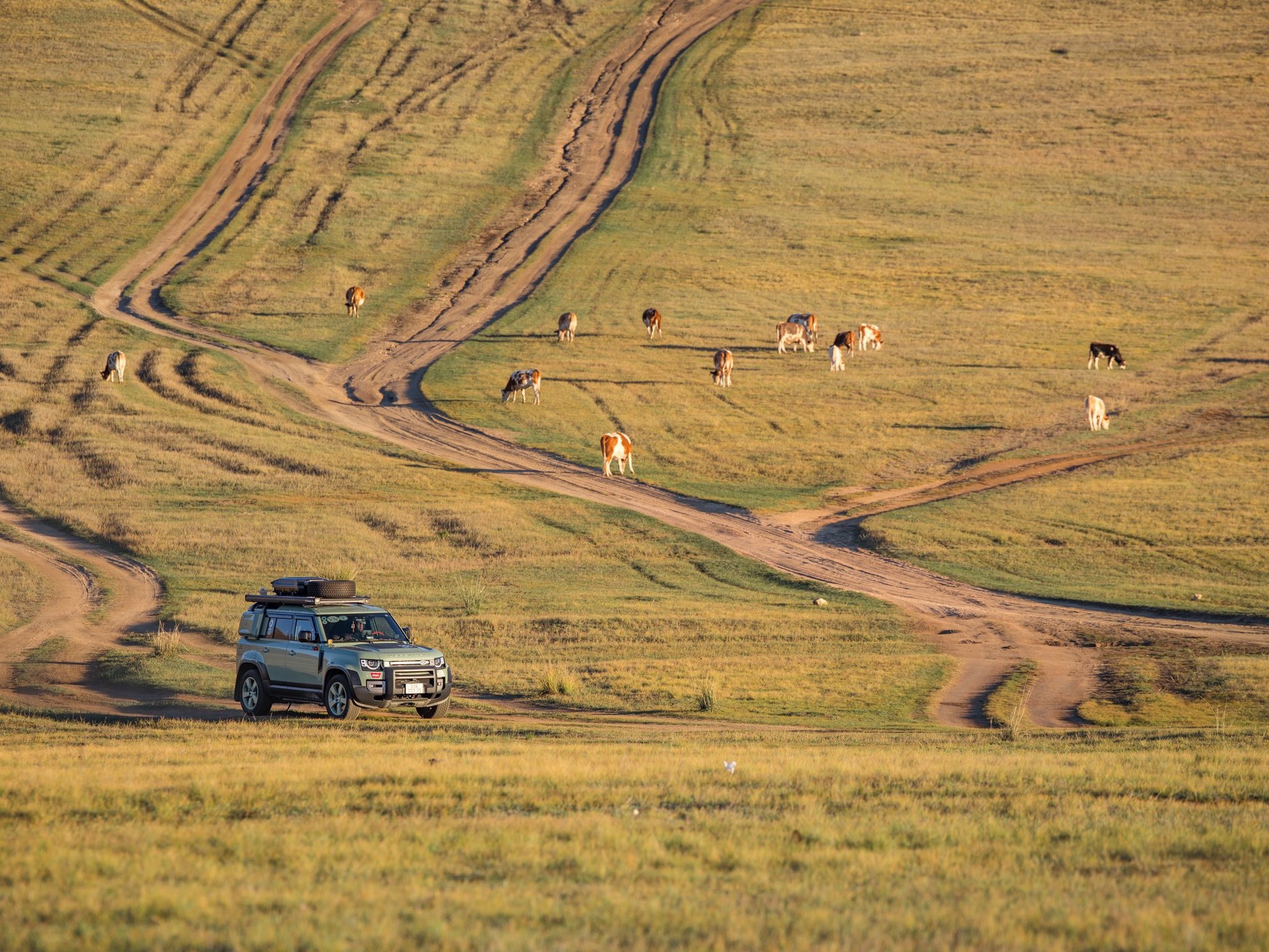 Defender biển Việt Nam và hành trình rong ruổi khắp châu Á: Gần 60.000km, hơn 150 ngày "đi bụi" để thấy thế giới không như lời đồn- Ảnh 17. Defender biển Việt Nam và hành trình rong ruổi khắp châu Á: Gần 60.000km, hơn 150 ngày "đi bụi" để thấy thế giới không như lời đồn- Ảnh 17.