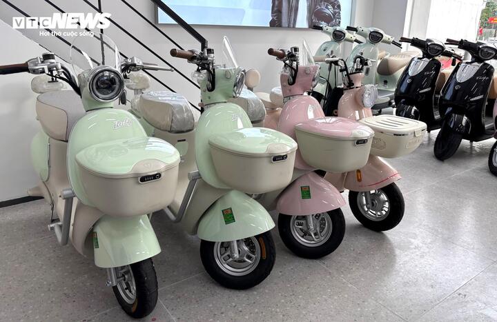 Xe điện đắt h&agrave;ng như t&ocirc;m tươi thời gi&aacute; xăng dầu 'phi m&atilde;'- Ảnh 2.