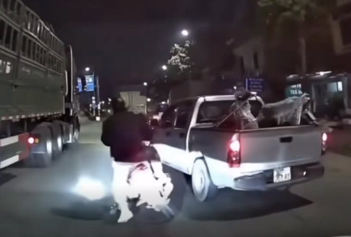 T&agrave;i xế tạt đầu l&agrave;m 3 người su&yacute;t chết dưới xe container kh&ocirc;ng kh&aacute;c g&igrave; kẻ s&aacute;t nh&acirc;n- Ảnh 1.