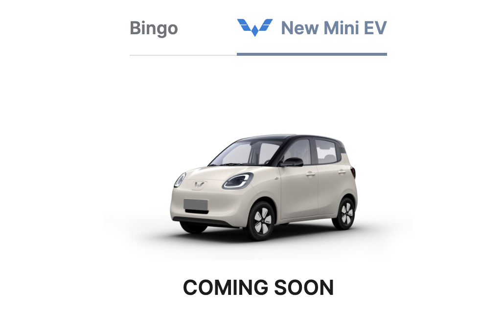 H&oacute;a ra đ&acirc;y l&agrave; l&yacute; do thực sự Wuling Mini EV từng biến mất một thời gian tr&ecirc;n website ở Việt Nam- Ảnh 1.