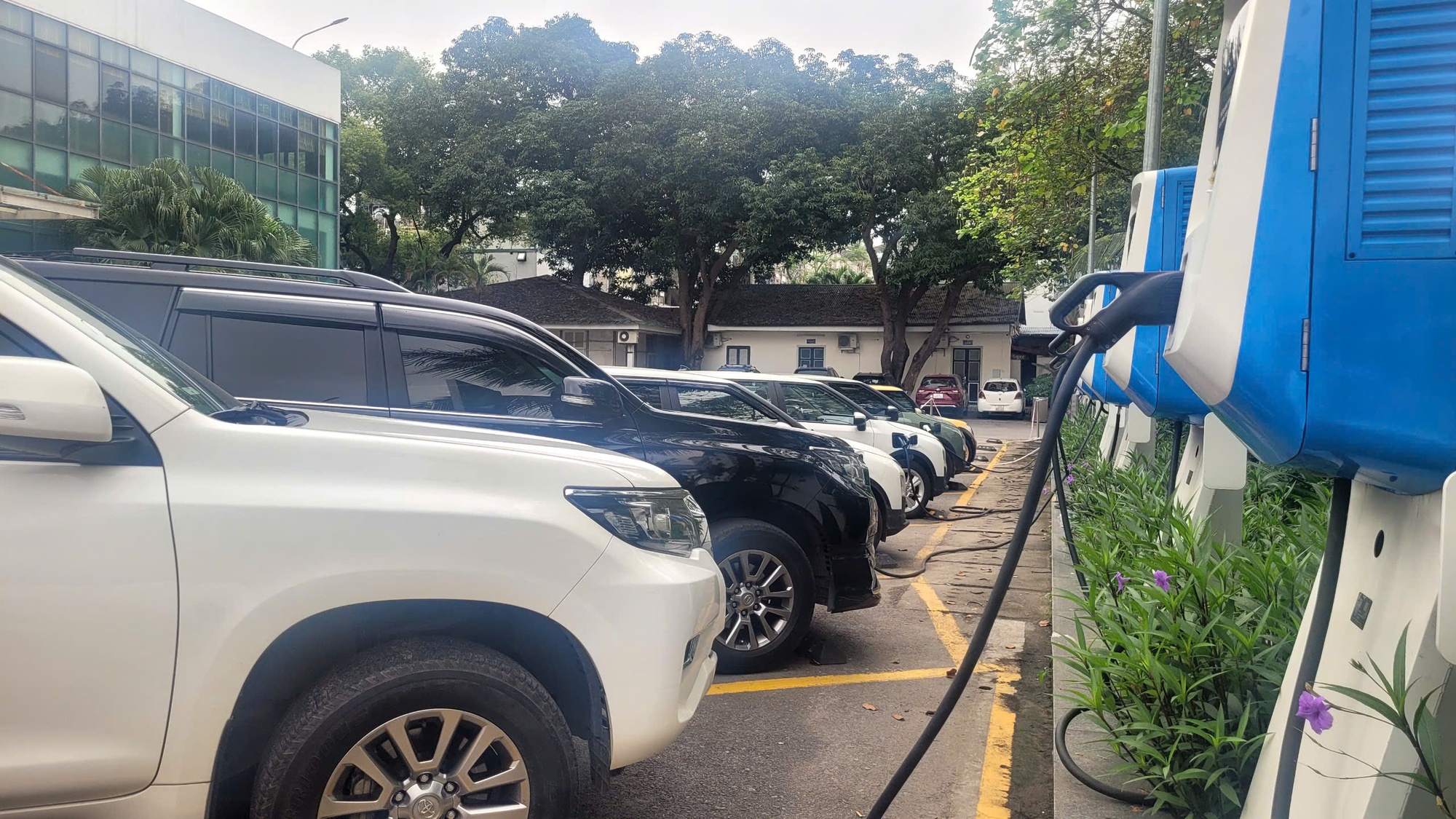 Nếu 100 ng&agrave;n xe &ocirc; t&ocirc; c&ugrave;ng sạc một l&uacute;c sẽ thế n&agrave;o với hệ thống điện?- Ảnh 1.