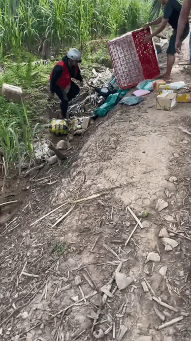 Shipper miền T&acirc;y: Đi giao h&agrave;ng gặp &ldquo;vật&rdquo; n&agrave;y th&igrave; quay xe l&agrave; thượng s&aacute;ch, c&agrave;ng cố vượt c&agrave;ng dễ chuốc hoạ v&agrave;o th&acirc;n- Ảnh 1.