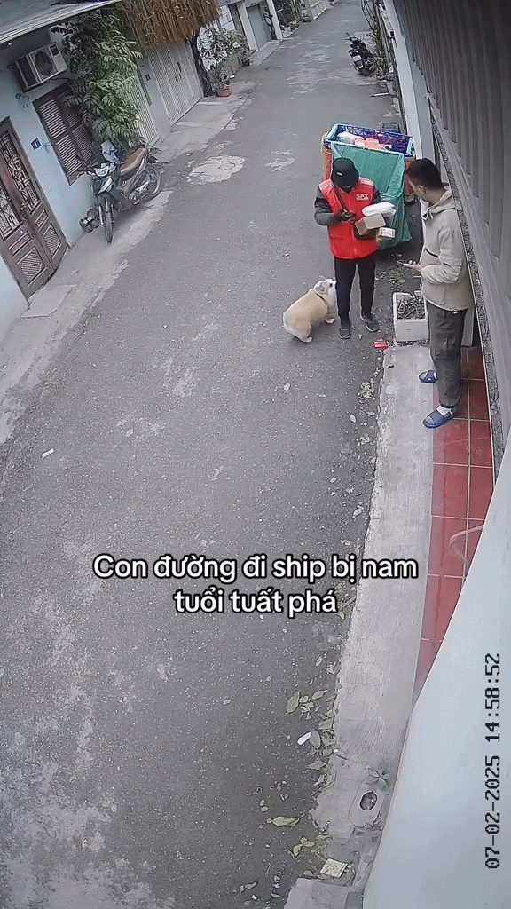 Shipper đến giao h&agrave;ng bỗng dắt xe m&aacute;y của kh&aacute;ch đi: Đoạn camera an ninh 24 gi&acirc;y được tung l&ecirc;n mạng- Ảnh 6.