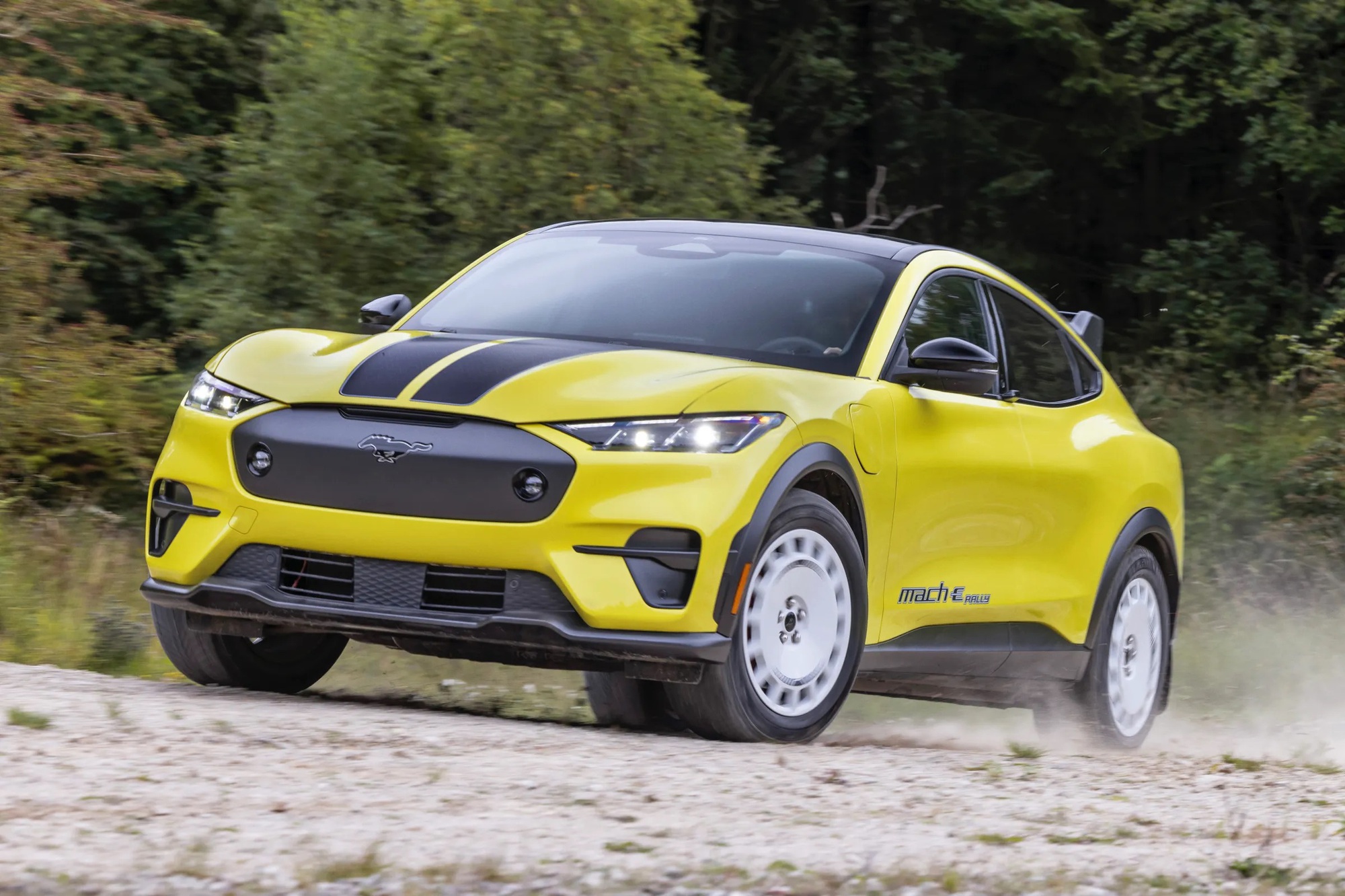 Ford nhá hàng 5 xe sắp ra mắt: Fiesta hồi sinh, Bronco mới, có cả xe xăng và điện, mang DNA của xe đua- Ảnh 4. Ford nhá hàng 5 xe sắp ra mắt: Fiesta hồi sinh, Bronco mới, có cả xe xăng và điện, mang DNA của xe đua- Ảnh 4.
